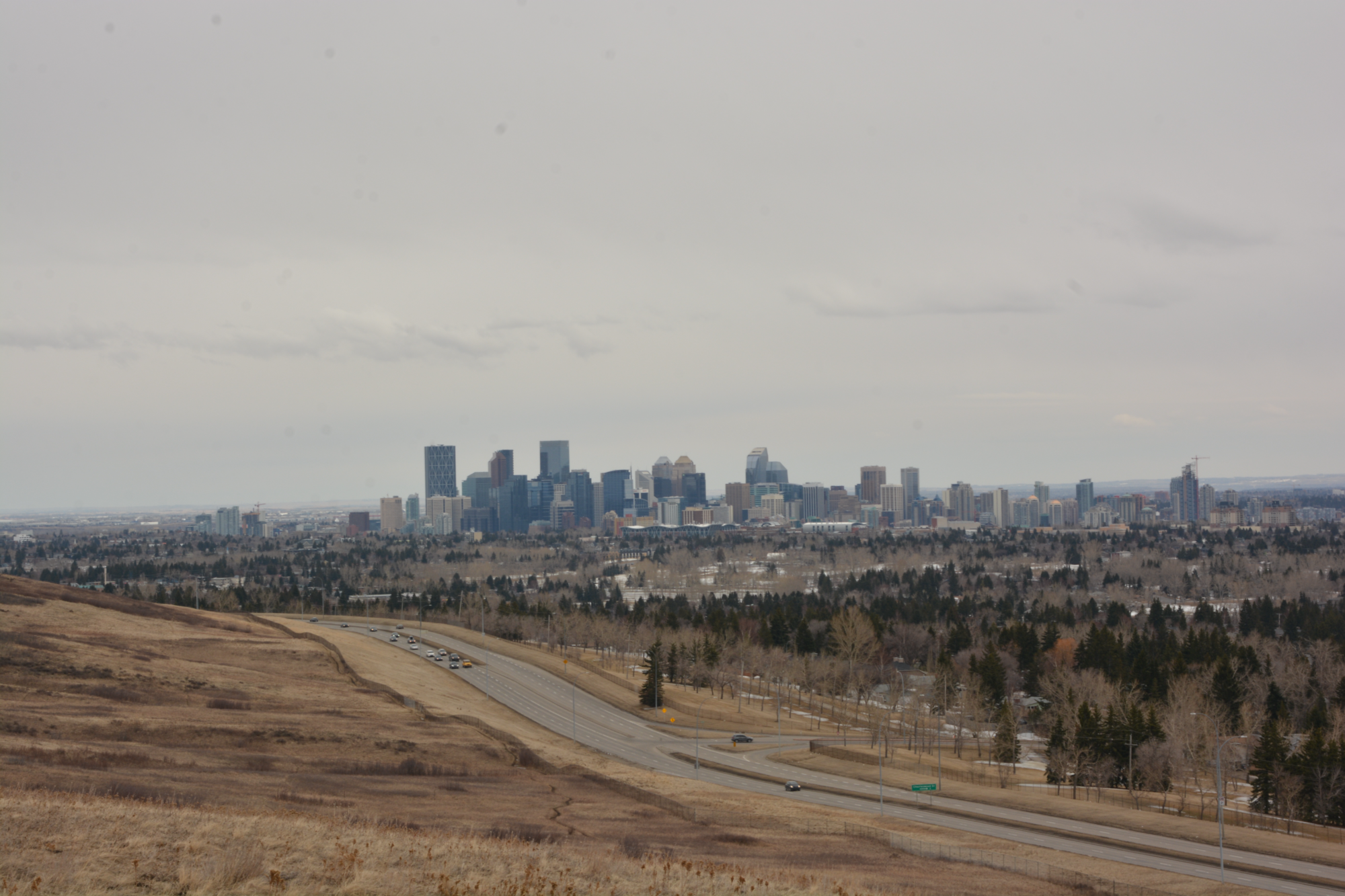 feature image of Top 10 Reasons to Live in Collingwood (Calgary, Alberta Canada)