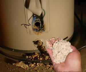 Why is my Water Heater Popping? ,David Campbell