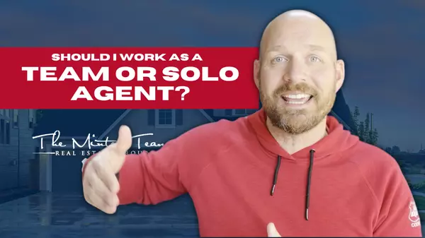 Should You Work with a Team or as a Solo Agent?,Jeff Minter