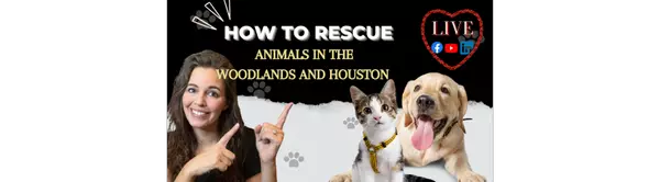 How to Rescue Animals | The Woodlands, TX and Houston, TX | Pet Rescue