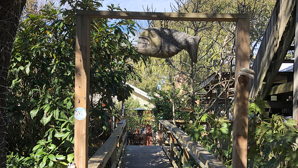 Folly Beach medi spa entrance