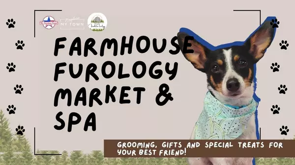 feature image of Tour the CUTEST Puppy Spa and Market in Georgia! | Farmhouse Furology