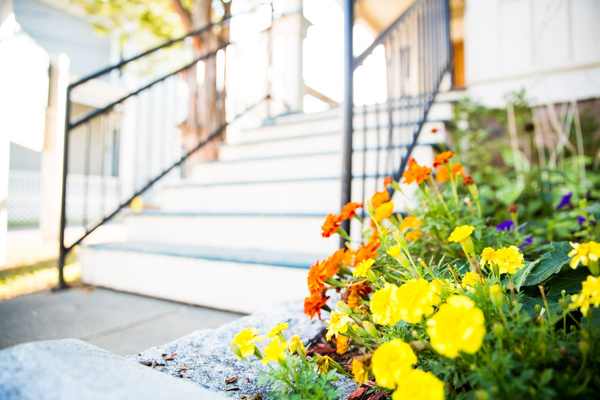 Spring Maintenance Checklist,Lysi Bishop Real Estate