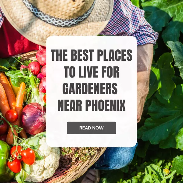 The Best Places to Live for Gardeners Near Phoenix,Wes Bender