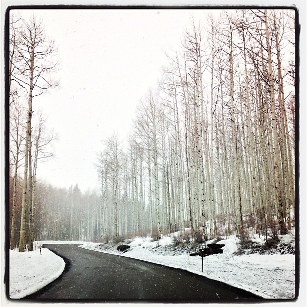 "Cold & Wet ... #colorado #mountain #mountains #snow #fog #aspens #road #rockies #driving" by KellieCA is licensed under CC BY-NC-ND 2.0.
