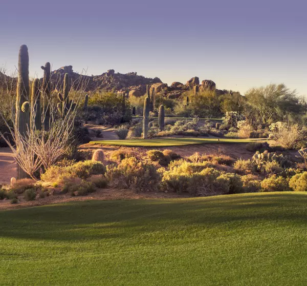 feature image of No. 7 Golf Course: A Golfers Paradise in the desert