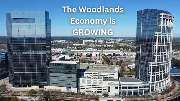 Things are looking up for The Woodlands region economy,Julian Schwertz