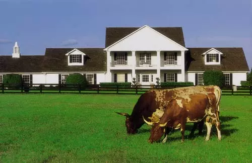 Enjoy Southfork Ranch While Sorting Out a True Real Estate Housing Market Crash,Matthew Soto