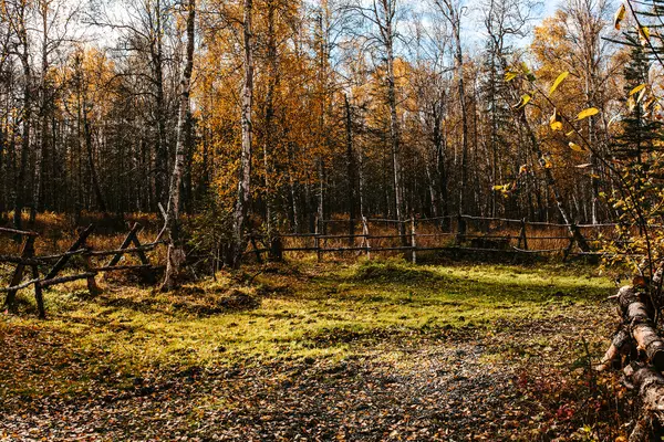 Horse Friendly Neighborhoods in the Anchorage Municipality,Liz Percy