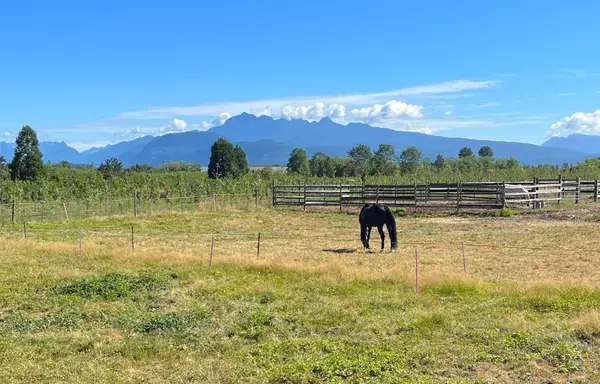 A Horse Lovers Paradise,Jessica Thiele