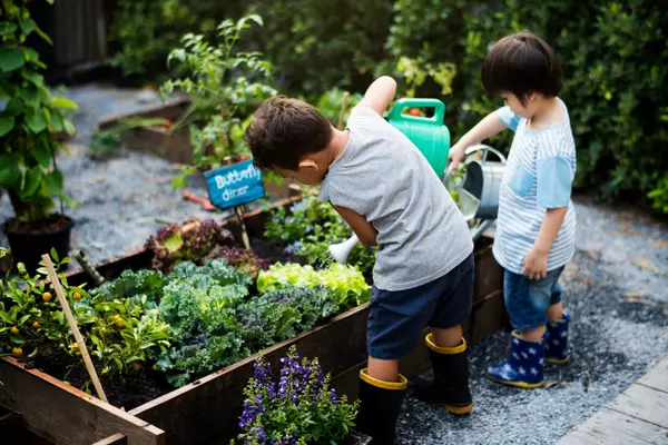 Top 7 Garden Nurseries in Nevada County,Sierra Player