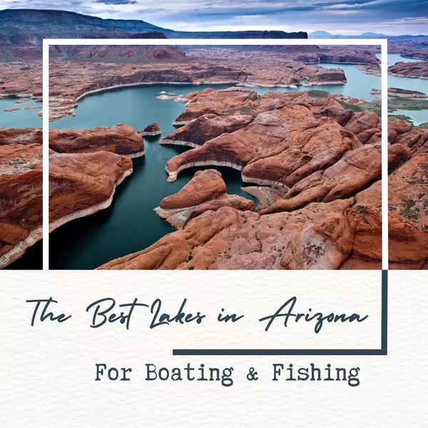 The Best Lakes in Arizona for Boating and Fishing,Wes Bender
