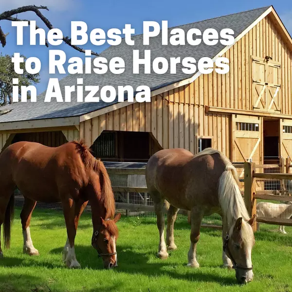 The Best Places to Raise Horses in Arizona,Wes Bender