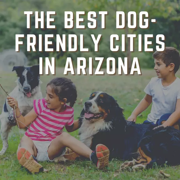 The Best Dog-Friendly Cities in Arizona,Wes Bender