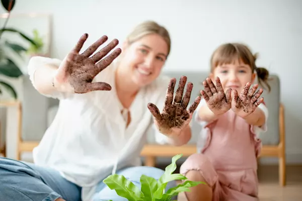 5 Gardening Tips in Grass Valley California,Sierra Player