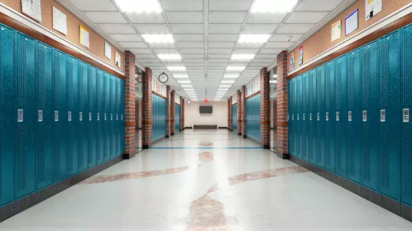 All you need to know about schools in Florida,Yetsenia M Torres