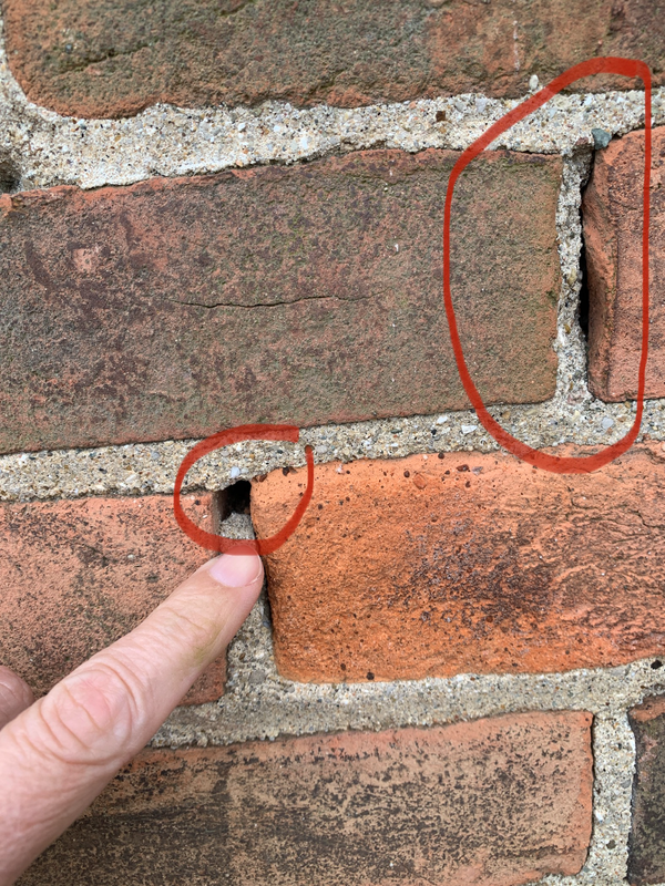 Tuckpointing,David Campbell