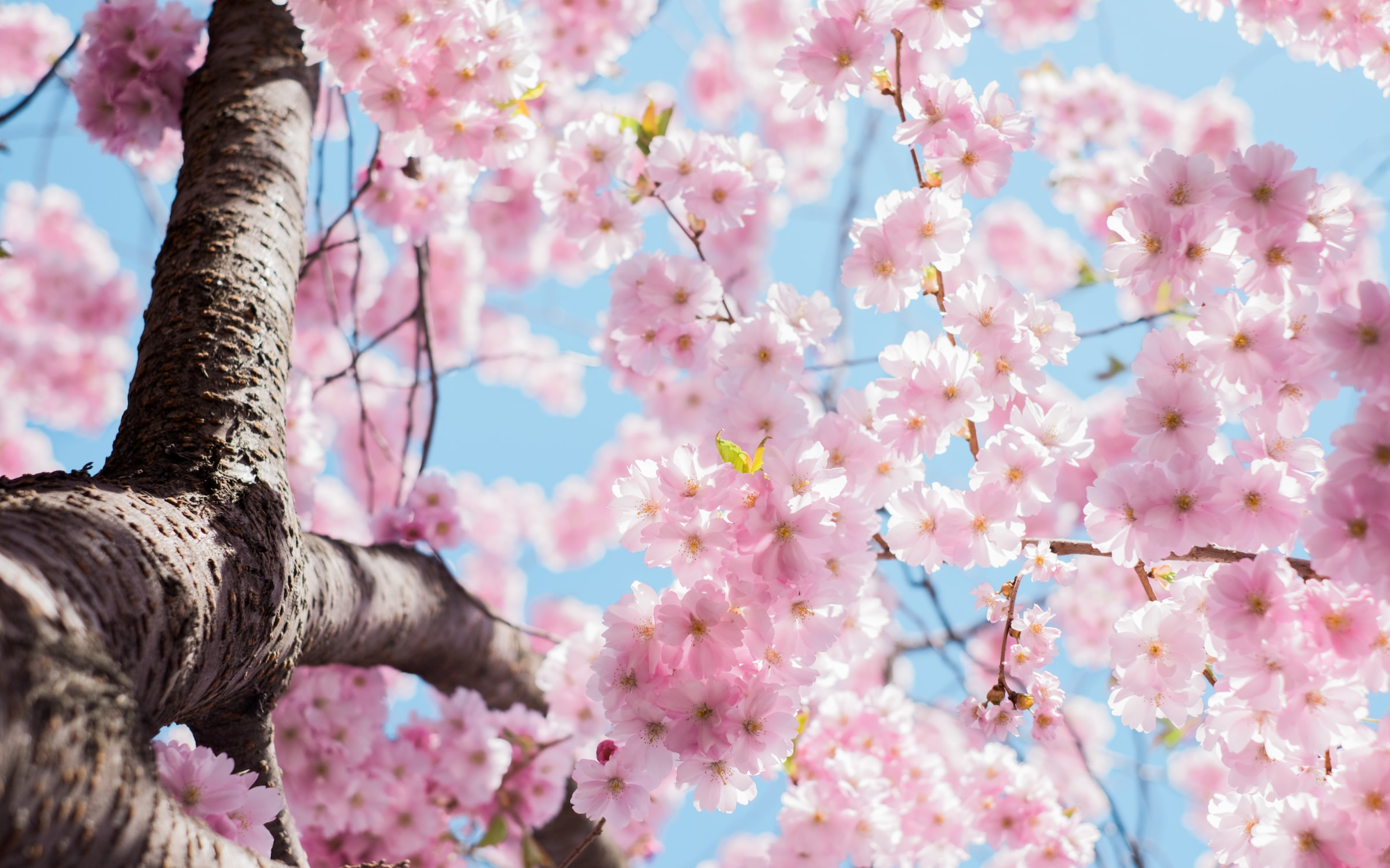 Homebuyer Activity Shows Signs of Warming Up for Spring
