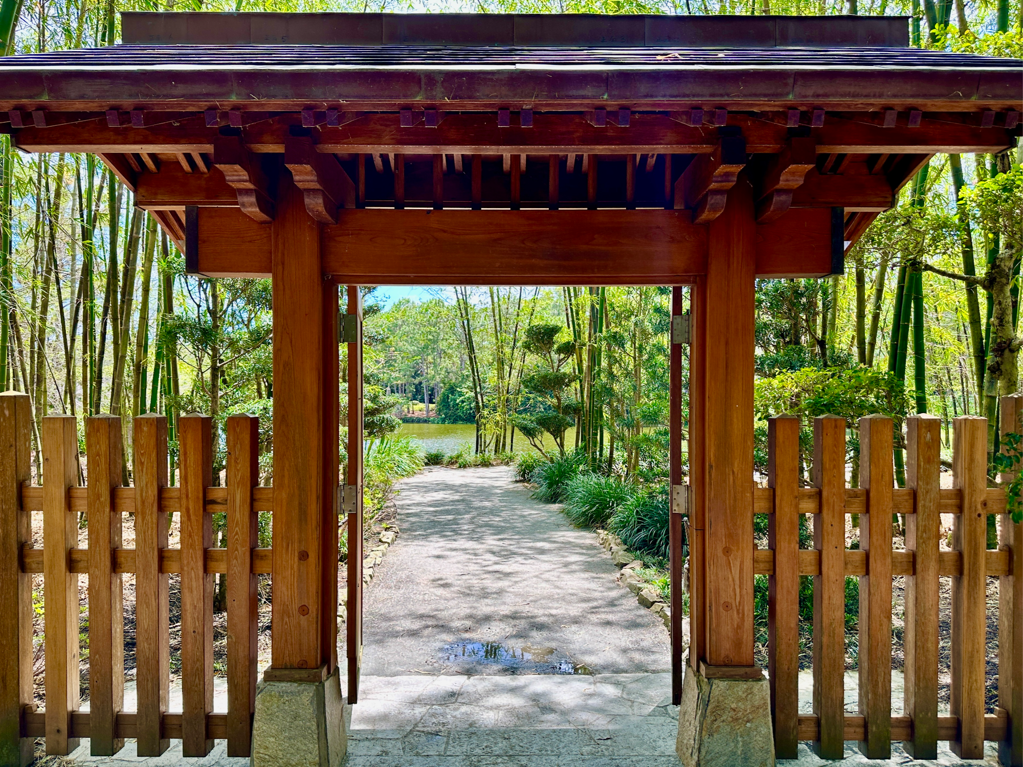 Entrance to a bamboo forest