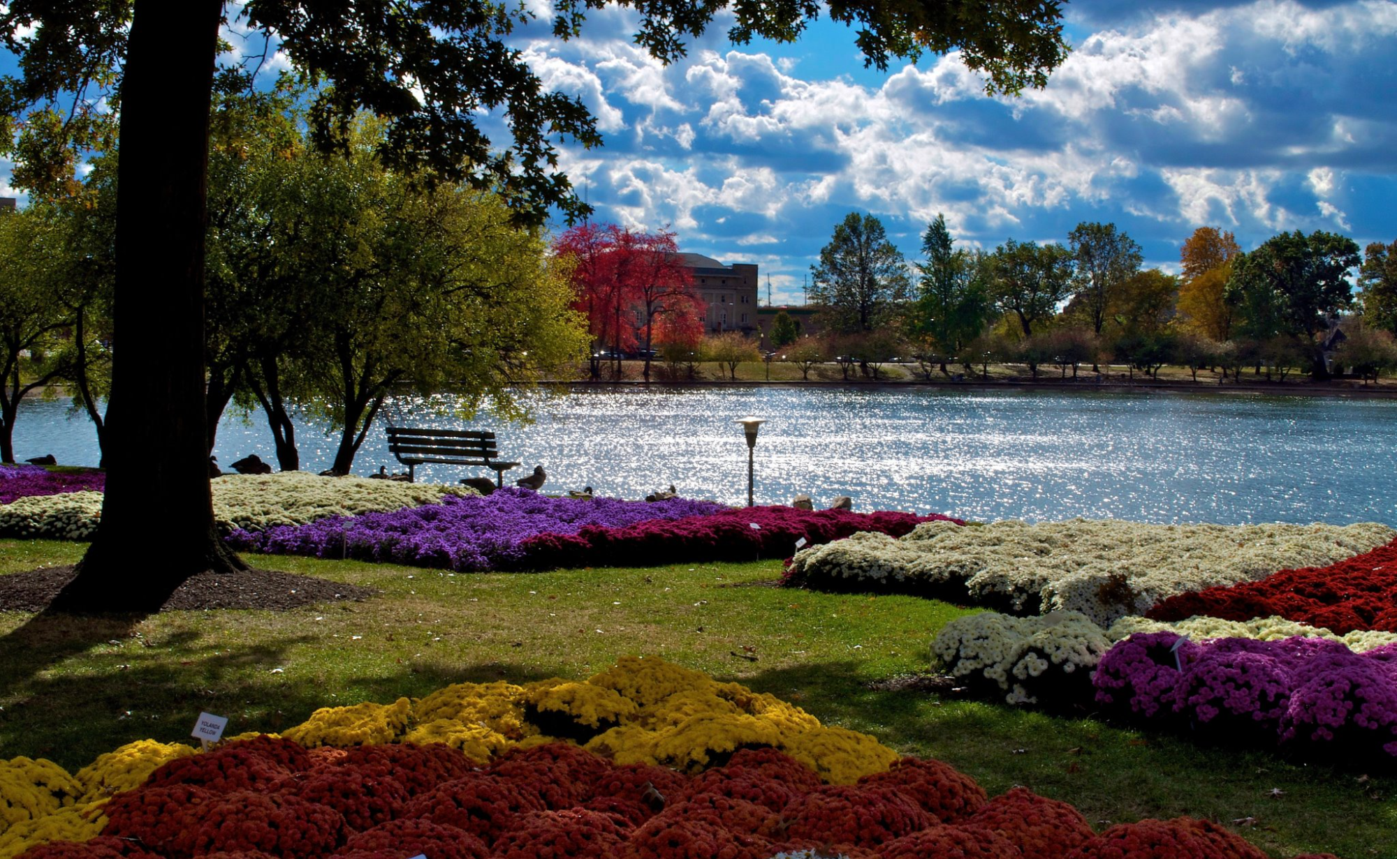 landscape view of the Lake Anna Park, featuring a partial view of the lake, a tree a bench and several colorful flower beds located near homes for sale in Barberton Ohio