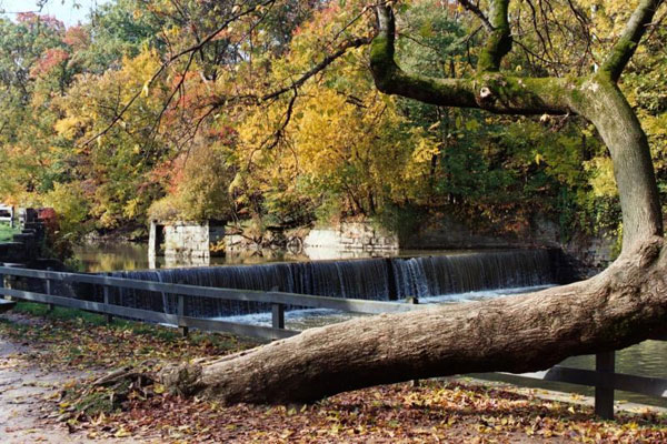 side view of a river, with a dam creating a water curtain, a bended tree trunk with fall colored leaves, and a stone wall in the back located near homes for sale in Strongsville Ohio