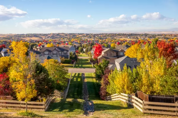 The Future of Denver's Real Estate Market: Predictions and Trends,Robert Passafiume