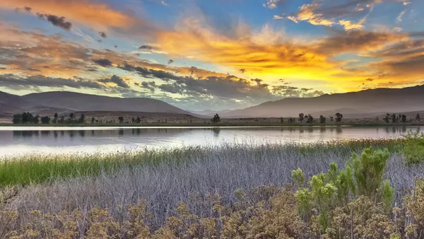Exploring Otay Ranch: A Guide to the Best Activities and Adventures,Otay Ranch REALTORs