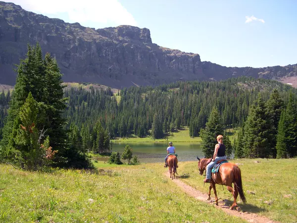 Best Trail Riding In and Around Grass Valley,Sierra Player