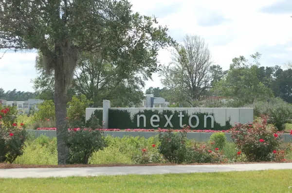 An Overview of Nexton,Susan Gardner