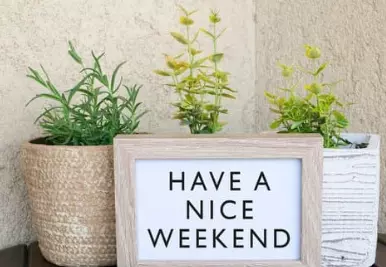 Things to do this weekend in South Carolina (29/04/23),Nima Sherpa