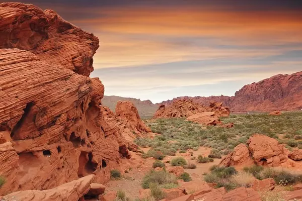 Metro Phoenix ranks No. 3 among U.S. cities for most vacant land,Scott Graff