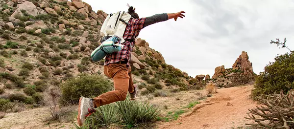 Top 5 Hikes In North Scottsdale