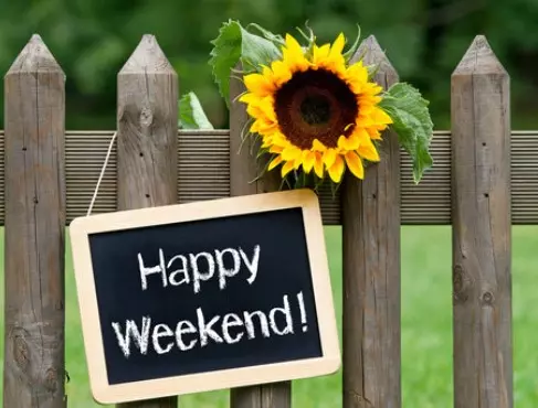 Things to do this weekend in South Carolina (08-09 April),Nima Sherpa