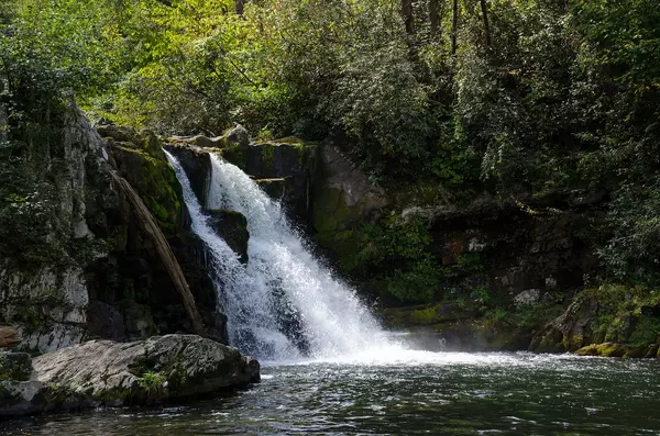 5 Easy Hikes in The Great Smoky Mountains National Park,Ken Herod