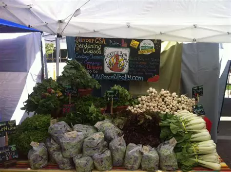 Treasure Valley Idaho Fruit and Farm Stands,Cash McCallum