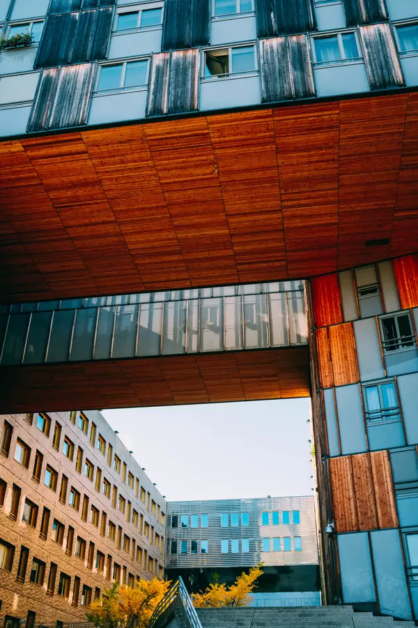 pexels-adrien-olichon-3137035