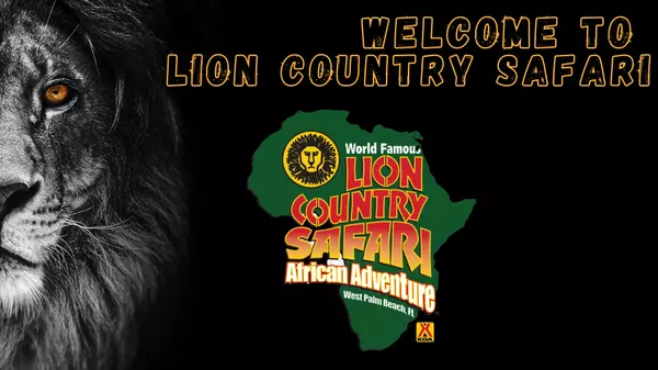 Lion Contry Safari,Stay Team
