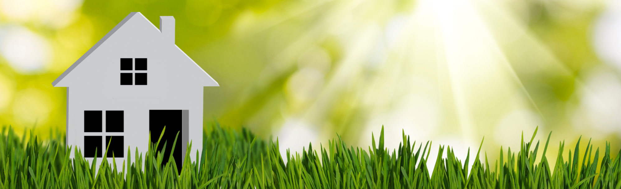 Small house with grass.