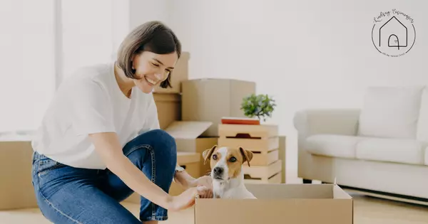 Mistakes to Avoid While Moving with a Pet,Lindsay Eisiminger