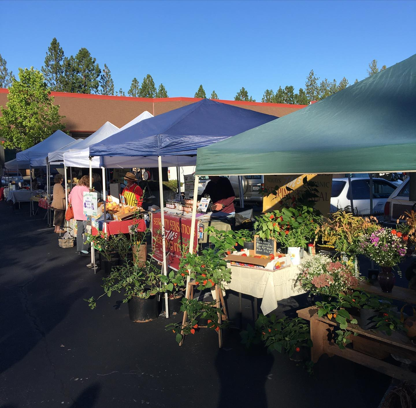 Grass Valley Farmers Market 2023- Sierra Player Real Estate Agent in Grass Valley Lists all of the Farmers Markets in Nevada County and lets you know that days and times they run.