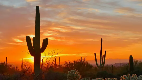 Discover Unparalleled Amenities at Troon Country Club