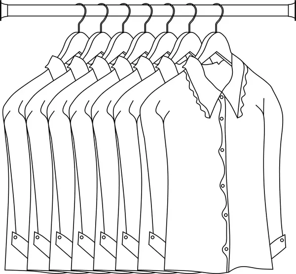 An Introductory Guide to Luxury Closet Organization,Dawn Maddux