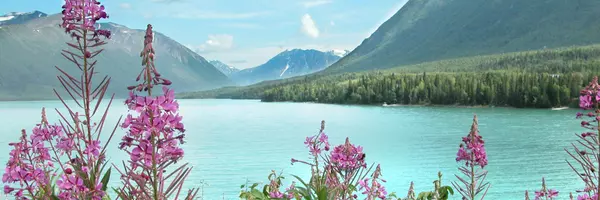 Anchorage Alaska ,Kasia Giron
