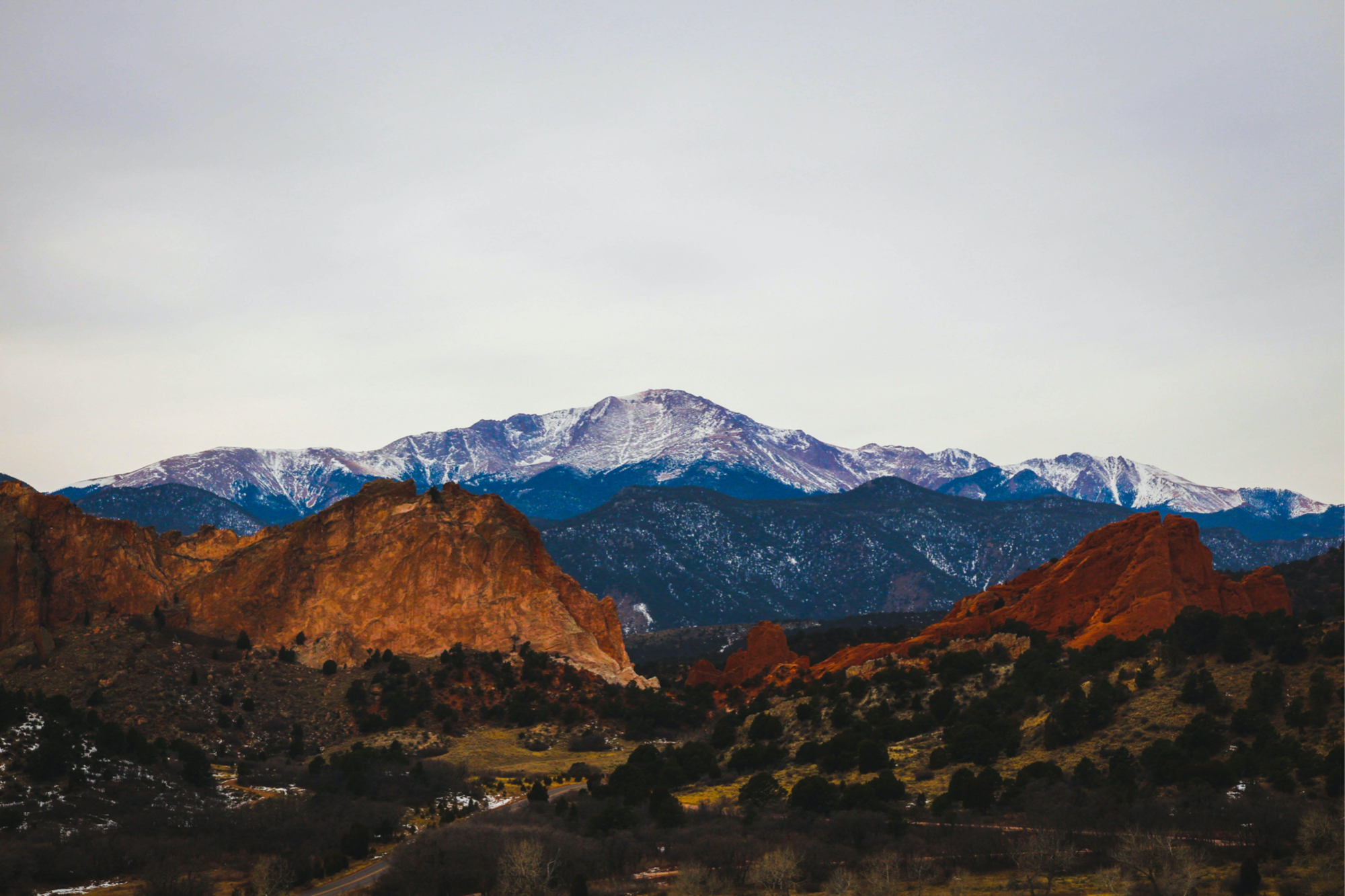 Colorado Springs garden of the gods real estate team