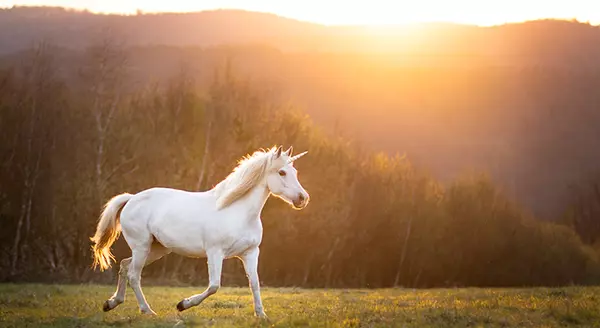 Today’s Real Estate Market: The ‘Unicorns’ Have Galloped Off,Kevin Valle
