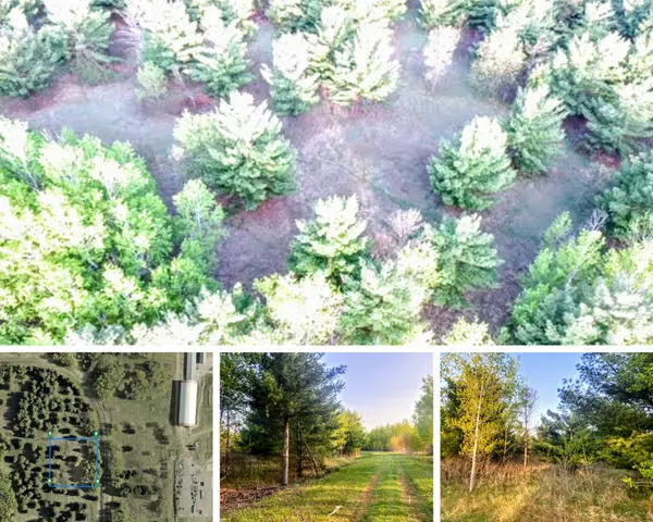 Sylvan Shores Estates Land -2 PIDs,Chuck Carstensen