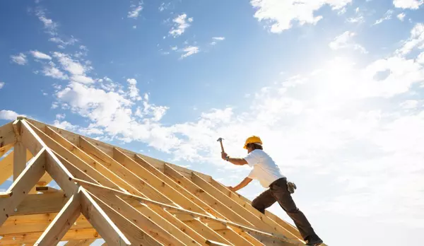 Why Mass Timber Is Expected to Become Canada's Hottest Building Material,Terry Kruse