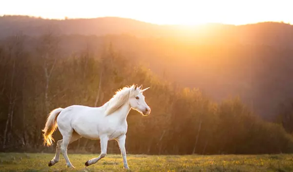 El mercado actual de bienes raíces: los ‘unicornios’ han galopado,Eliud Cruz