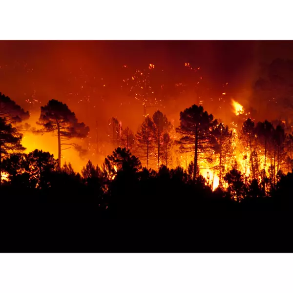 Wildfires and Insurance,Chuck Bennett