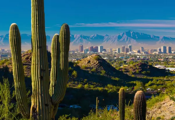 5 Top Reasons Phoenix is The Place to Be,Paul Nicoletti